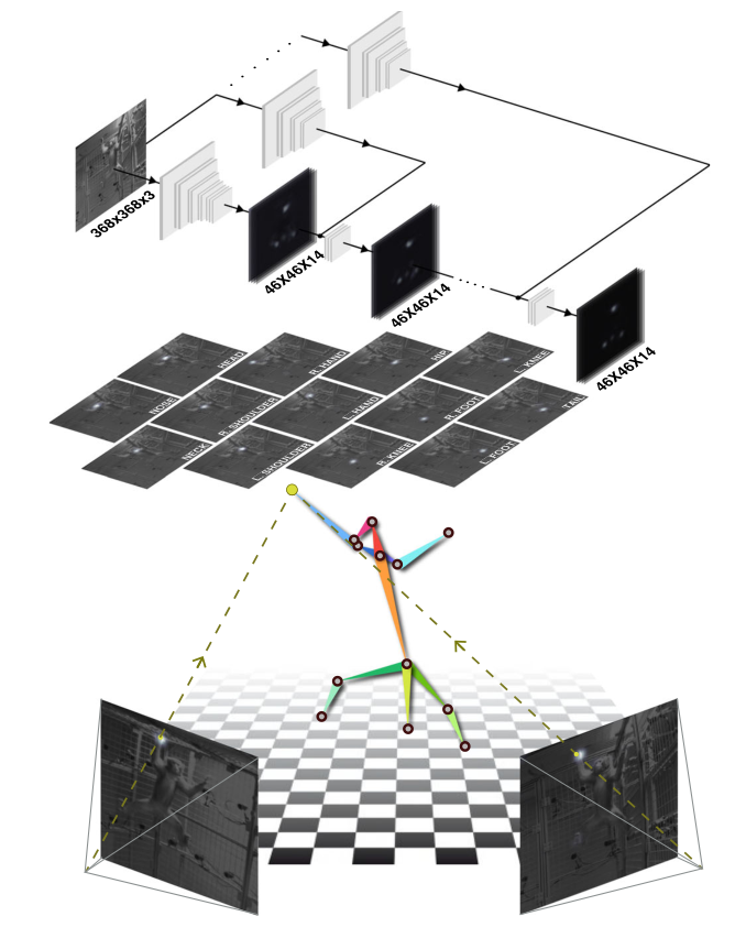 图1