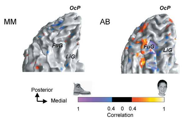 Paper 003 · fig-3