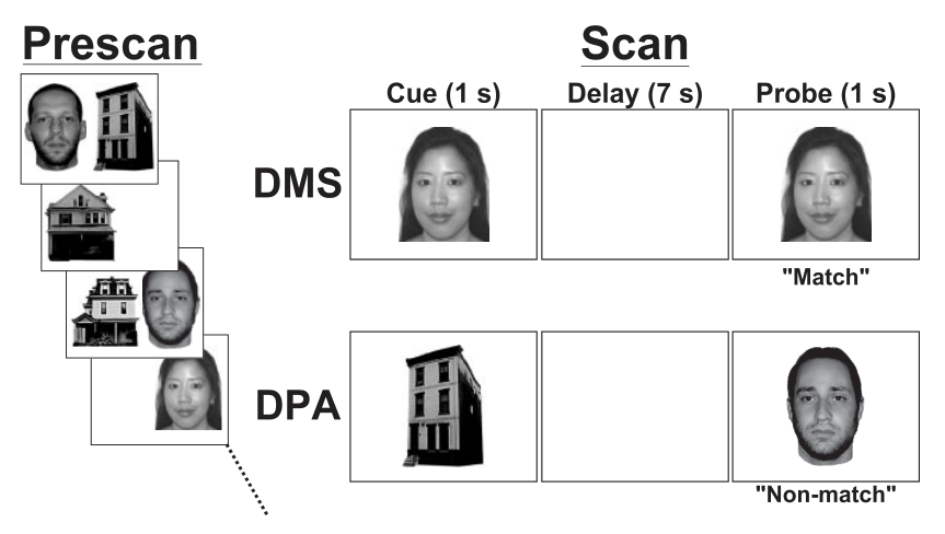 Paper 013 · fig-1