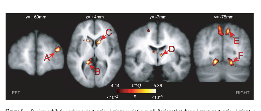 Paper 013 · fig-5