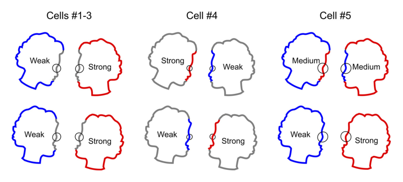 Paper 018 · fig-12