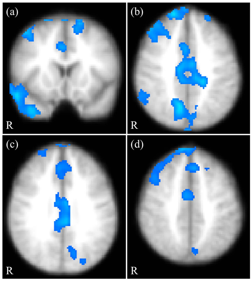 Paper 021 · fig-1