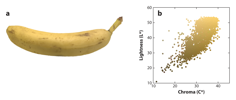 Paper 025 · fig-1