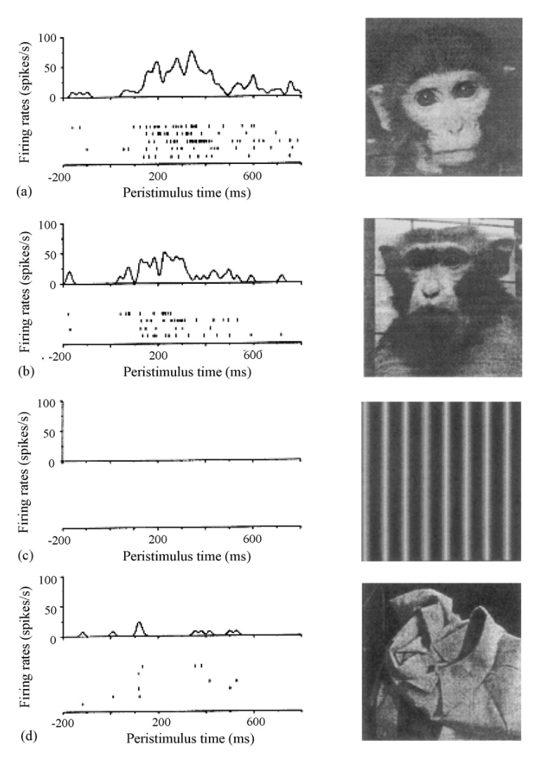 Paper 034 · fig-9