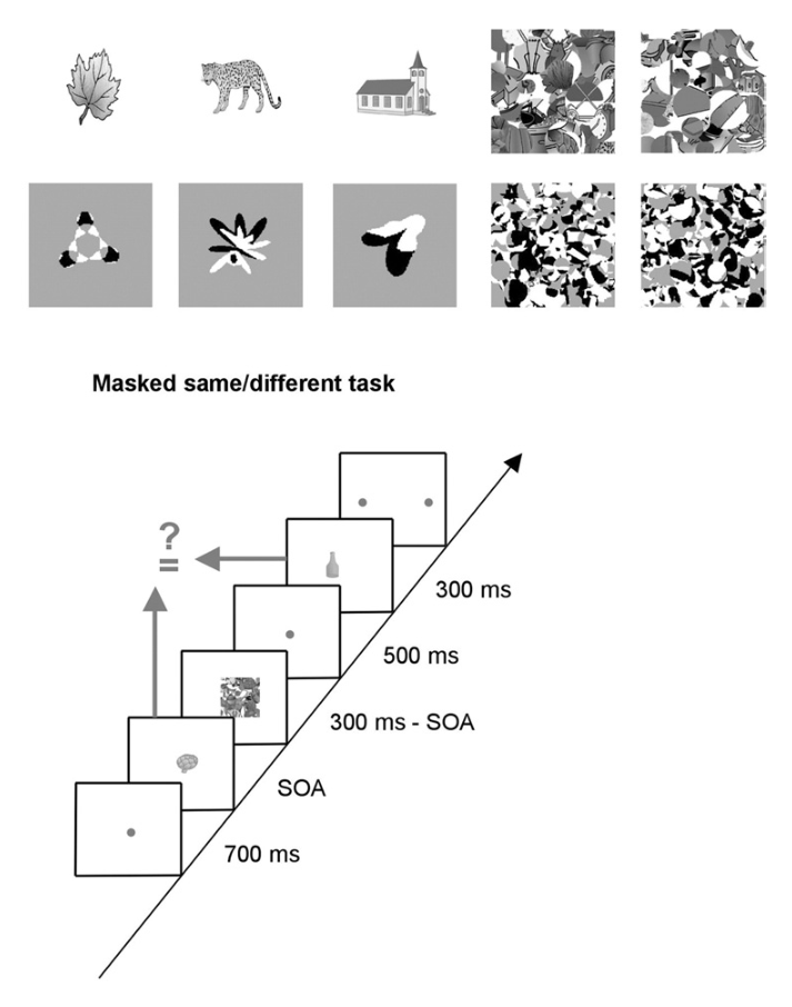 Paper 035 · fig-1
