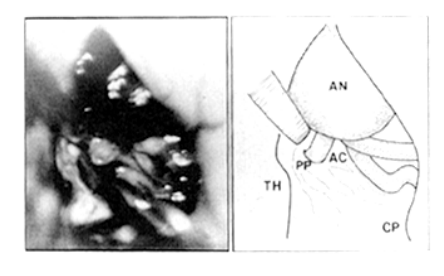 Paper 043 · fig-3