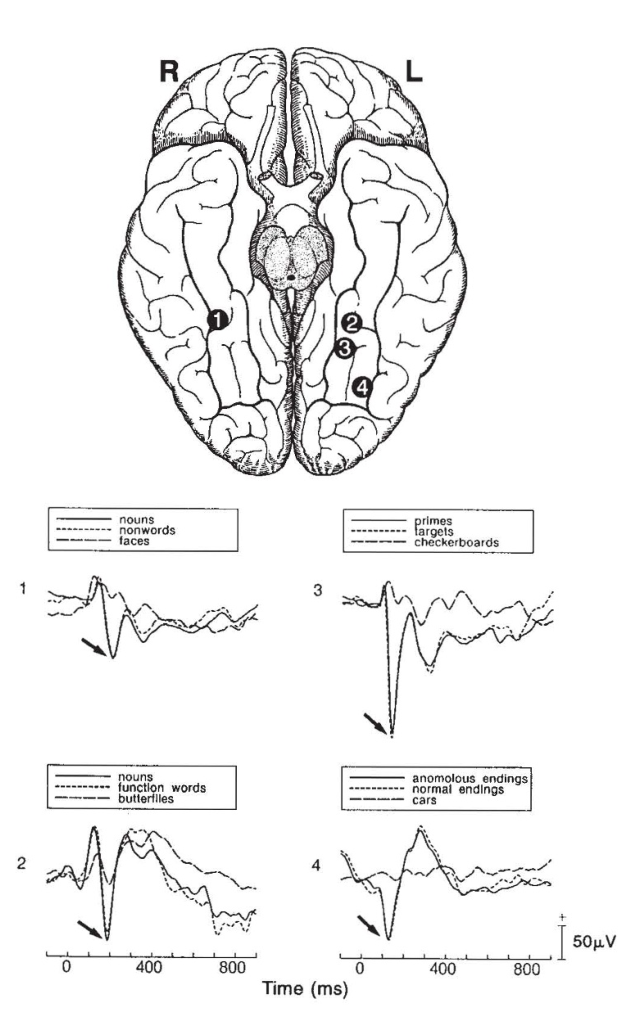 Paper 046 · fig-2