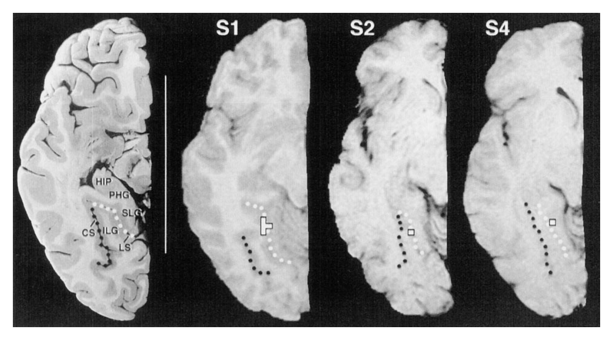 Paper 047 · fig-3