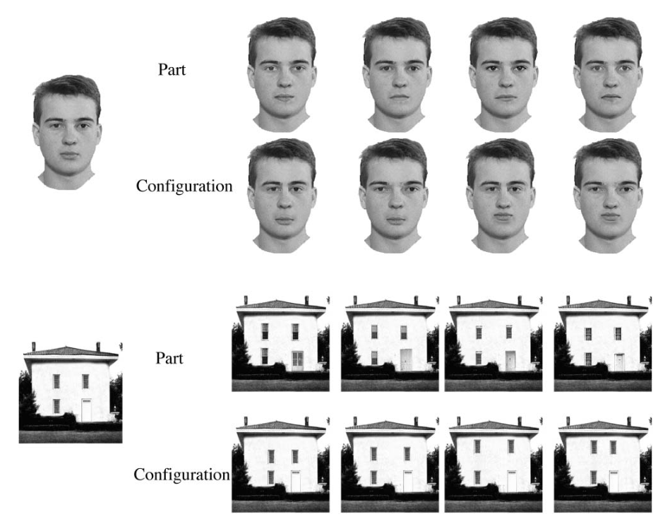 Paper 053 · fig-1