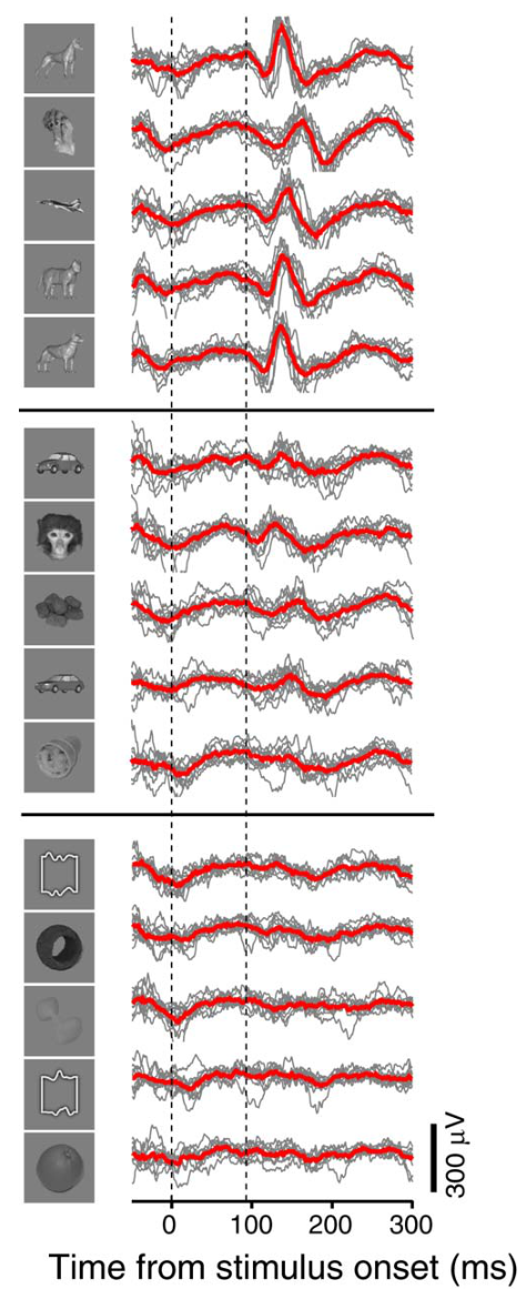 Paper 061 · fig-1