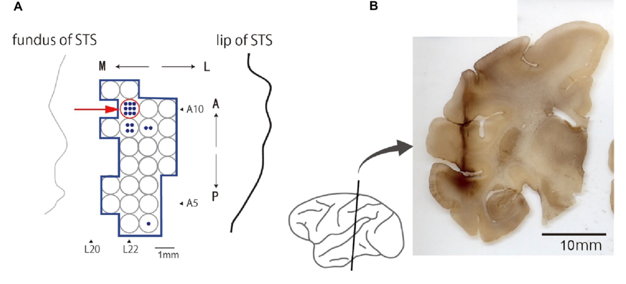 Paper 063 · fig-1