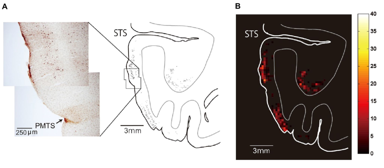 Paper 063 · fig-2