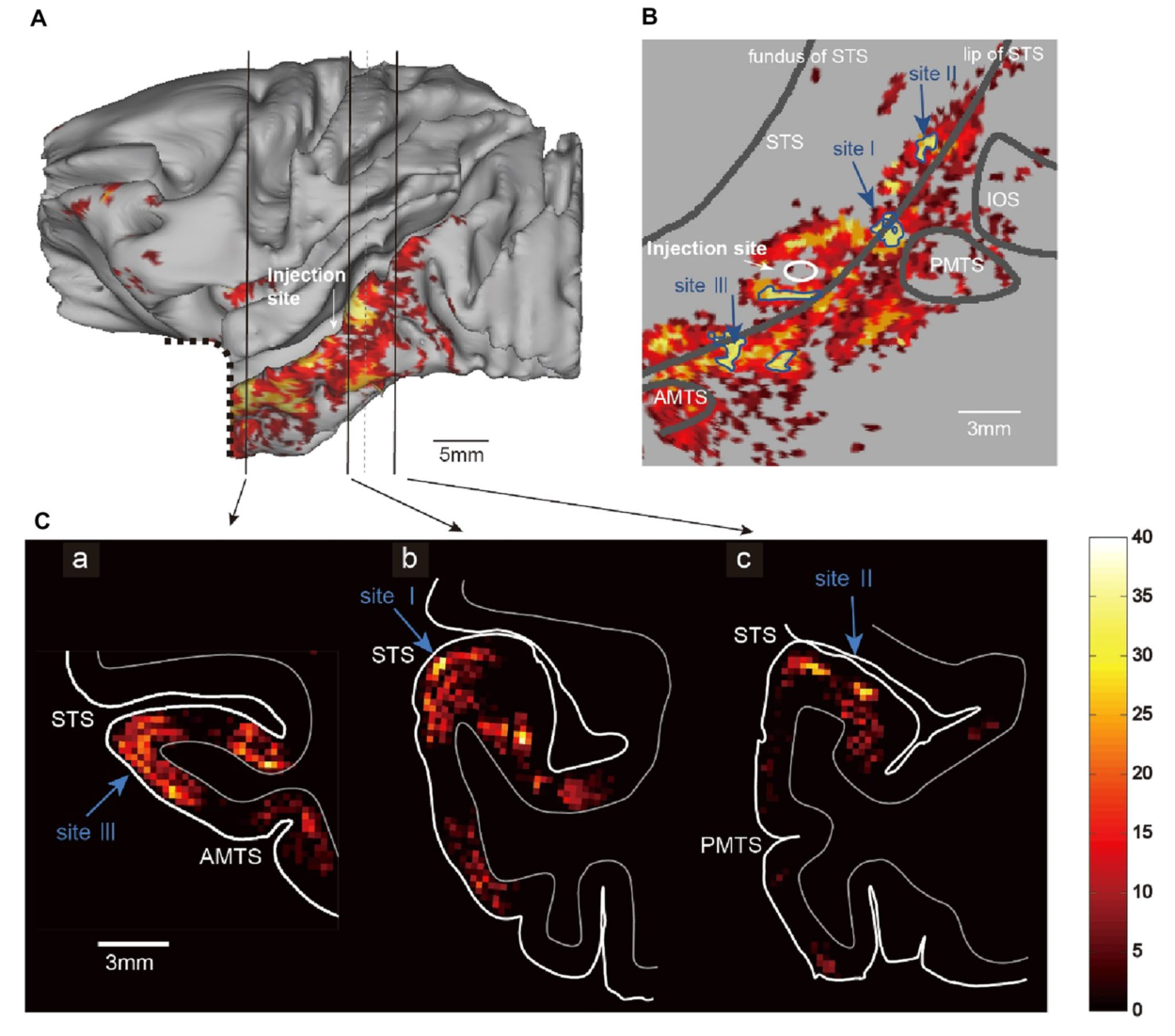 Paper 063 · fig-3