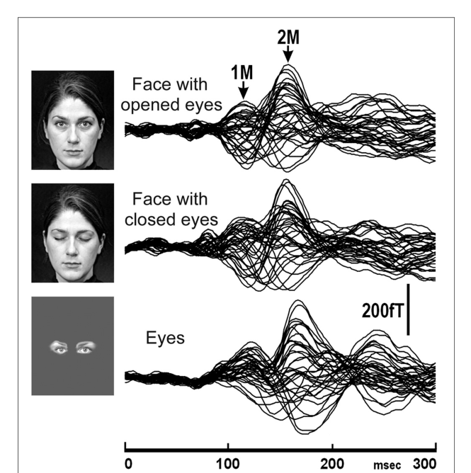 Paper 070 · fig-1