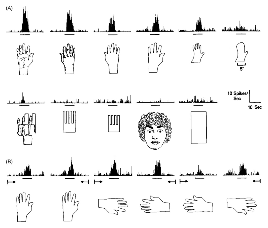 Paper 080 · fig-1