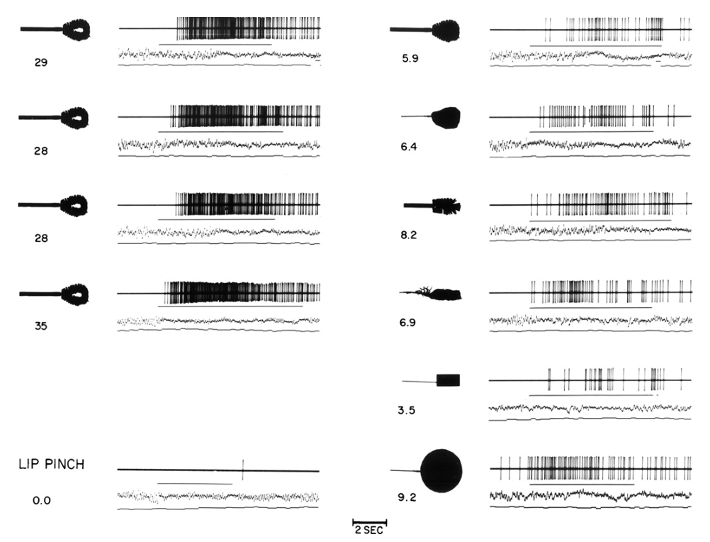 Paper 080 · fig-5