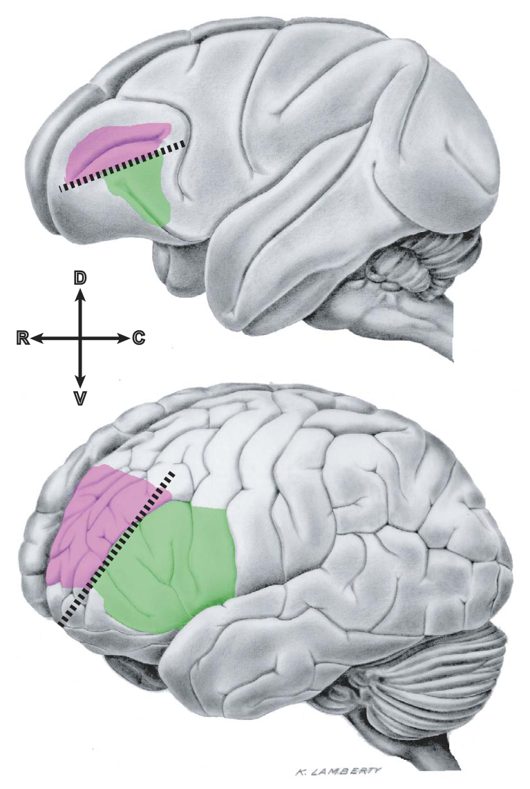 Paper 081 · fig-2