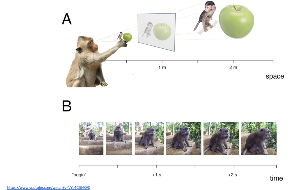 Paper 085 · fig-4