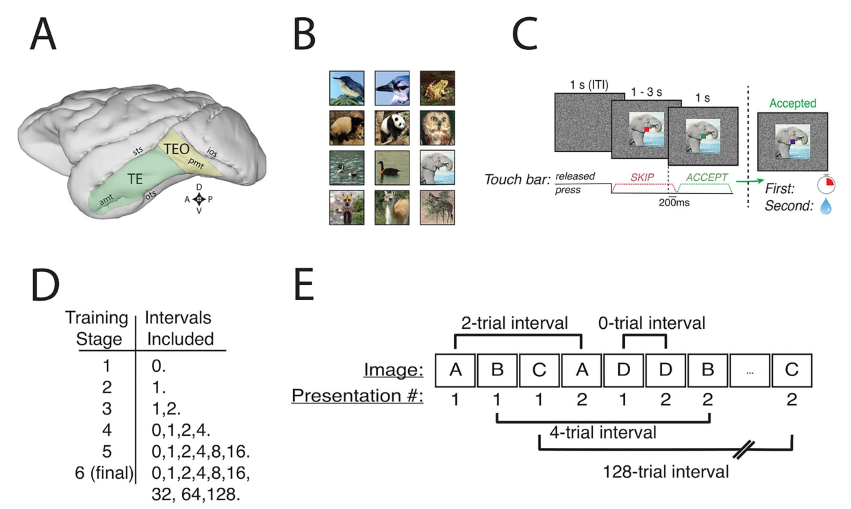 Paper 088 · fig-1