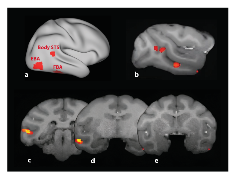 Paper 095 · fig-2