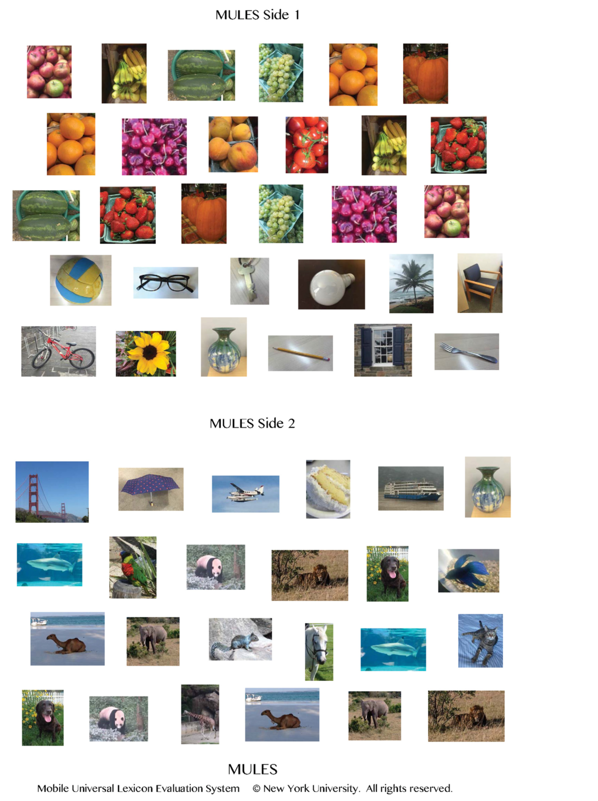 Paper 097 · fig-1