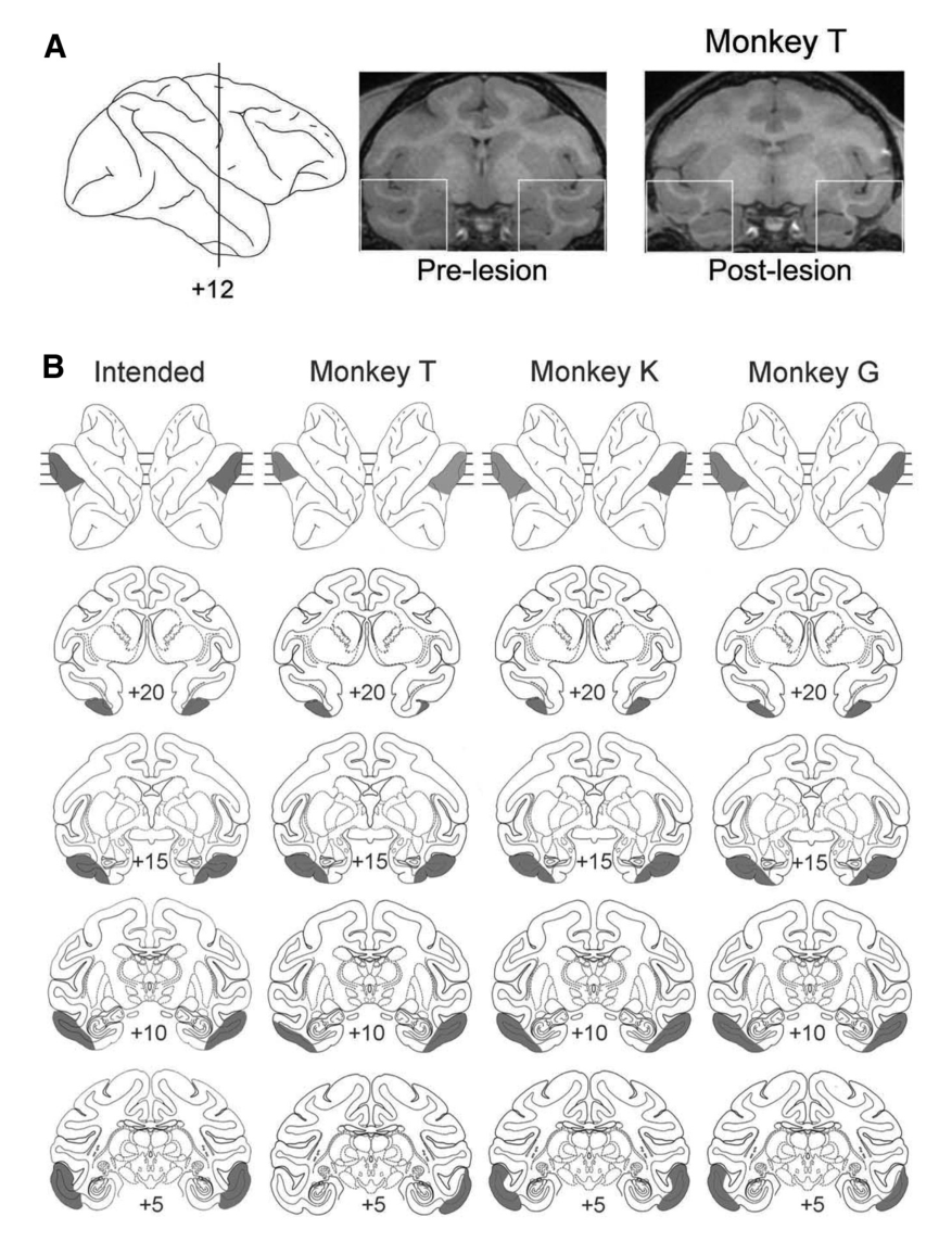Paper 117 · fig-1