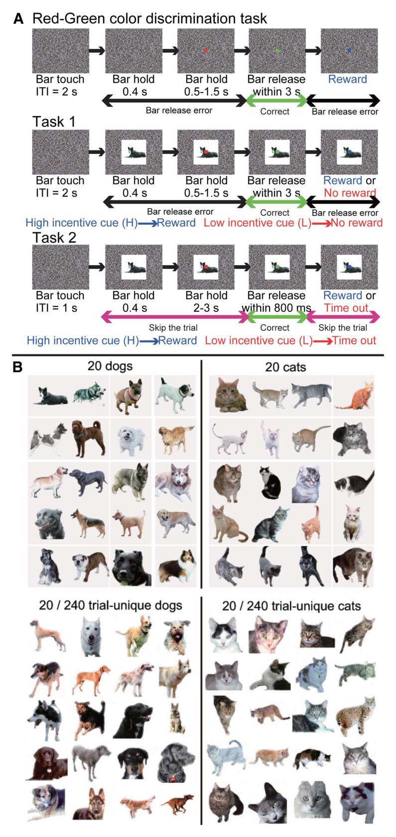 Paper 117 · fig-2