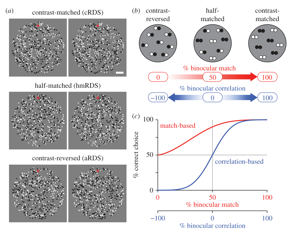 Paper 121 · fig-2