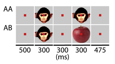 Paper 123 · fig-1
