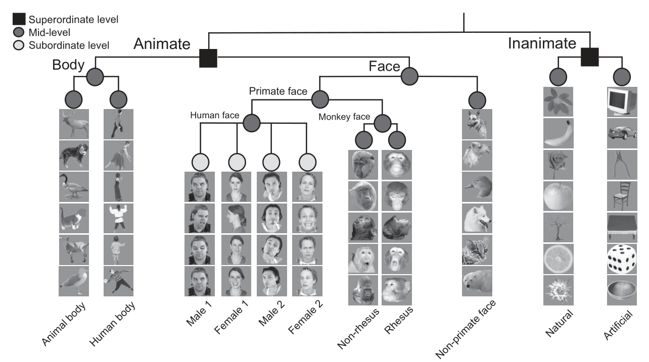 Paper 125 · fig-1