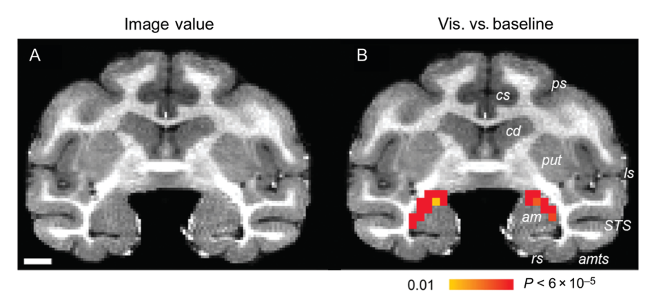 Paper 132 · fig-10