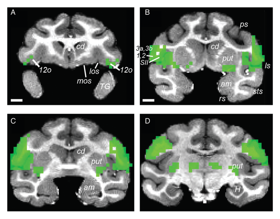 Paper 132 · fig-13
