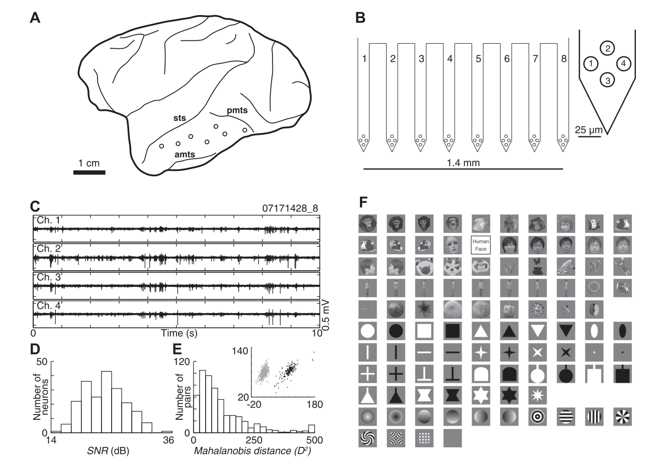 Paper 147 · fig-1