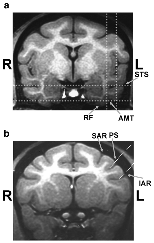 Paper 154 · fig-3