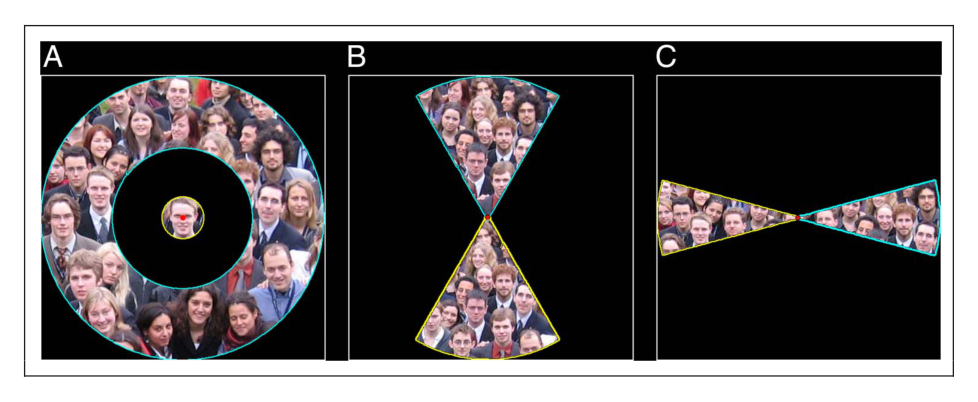 Paper 155 · fig-1