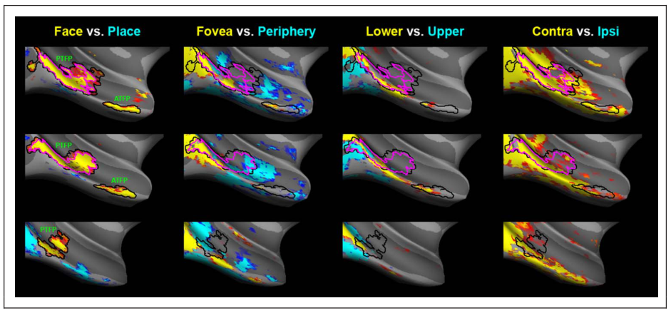 Paper 155 · fig-3