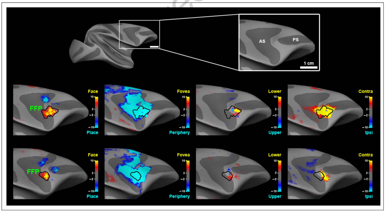 Paper 155 · fig-4