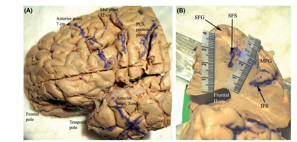 Paper 156 · fig-1