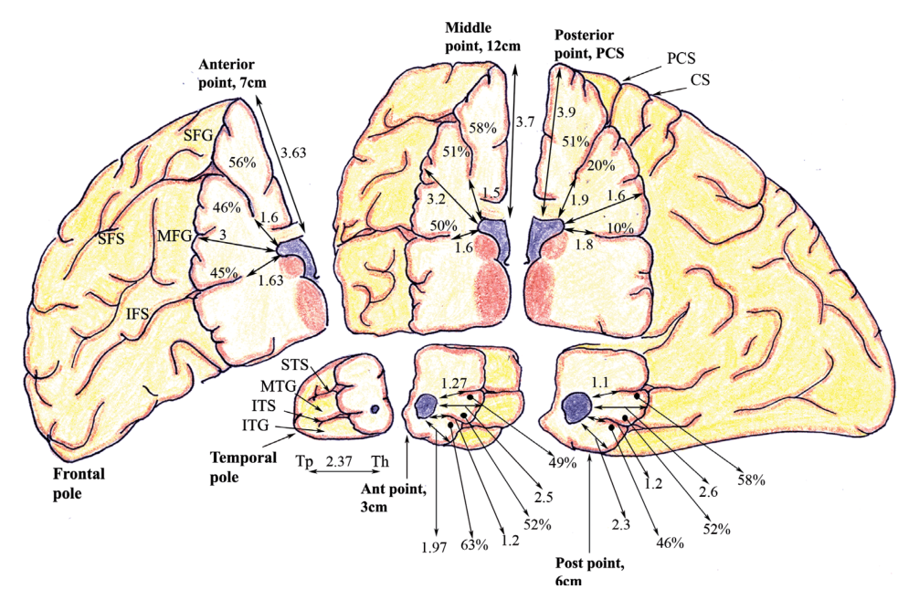 Paper 156 · fig-2