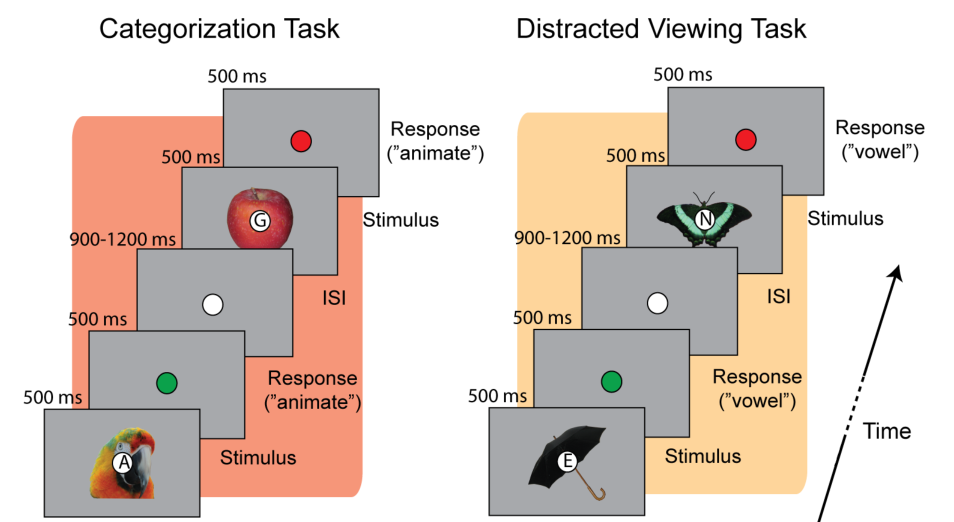 Paper 161 · fig-2