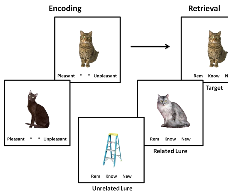 Paper 162 · fig-1