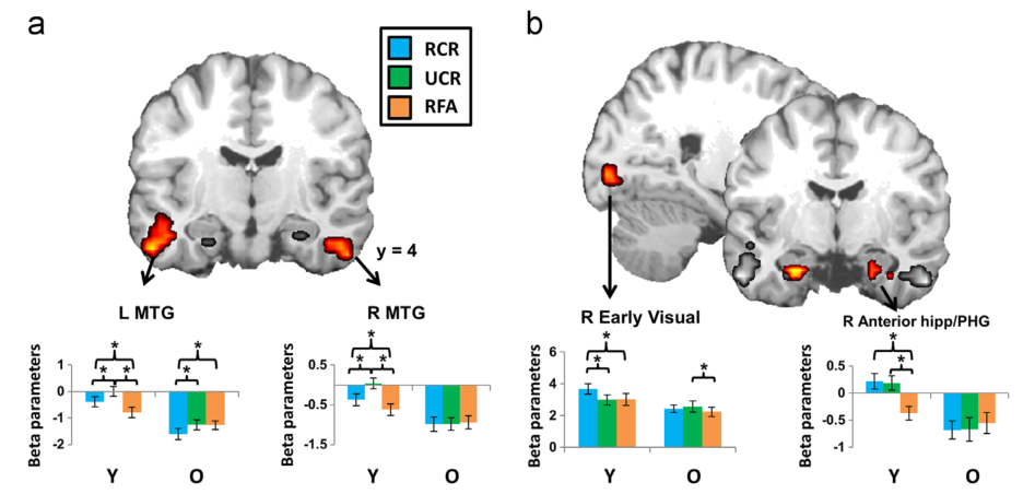 Paper 162 · fig-3