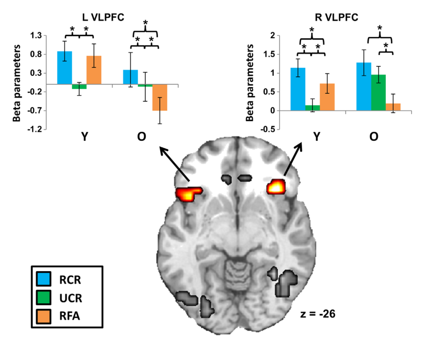 Paper 162 · fig-4