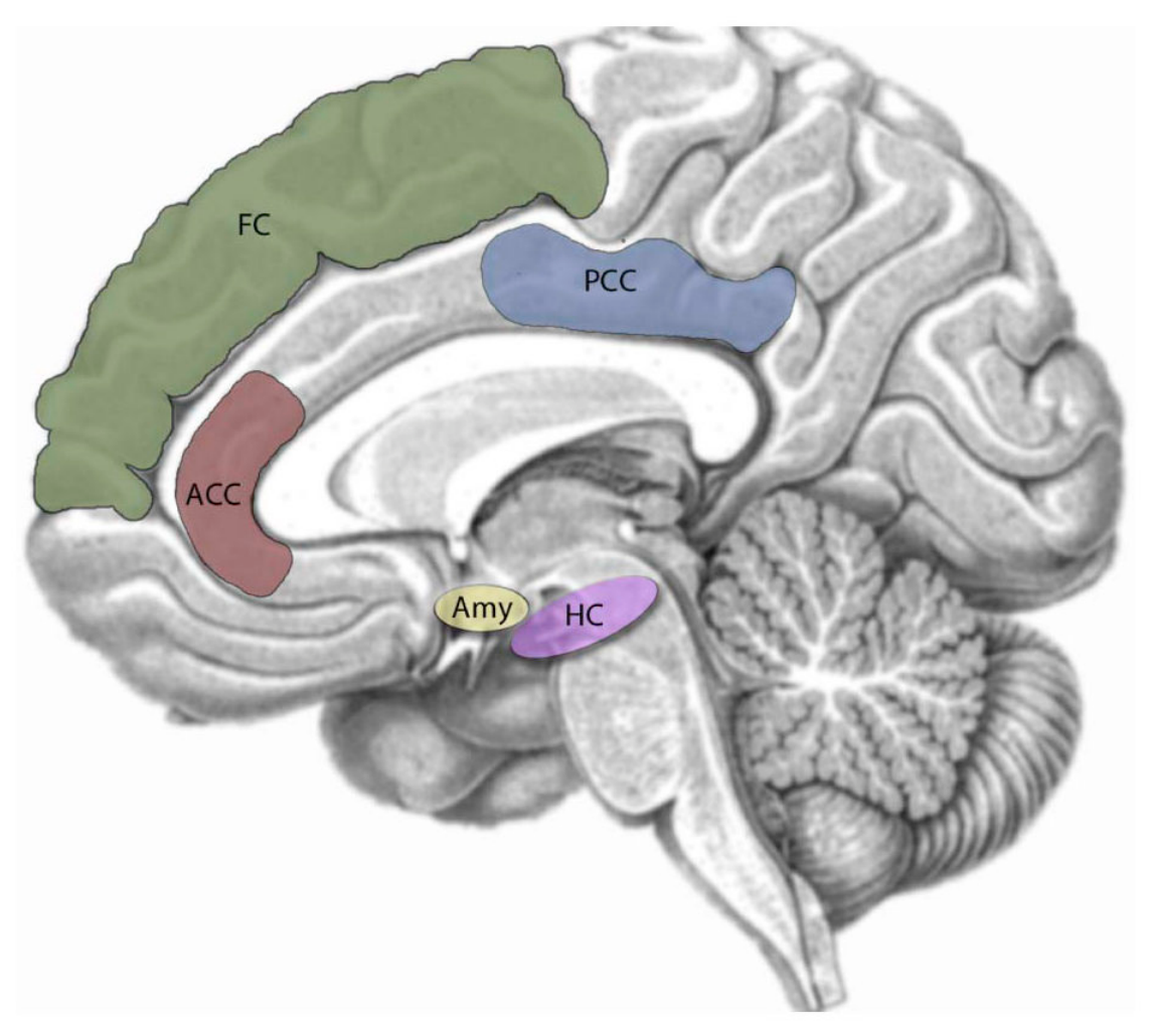 Paper 166 · fig-1