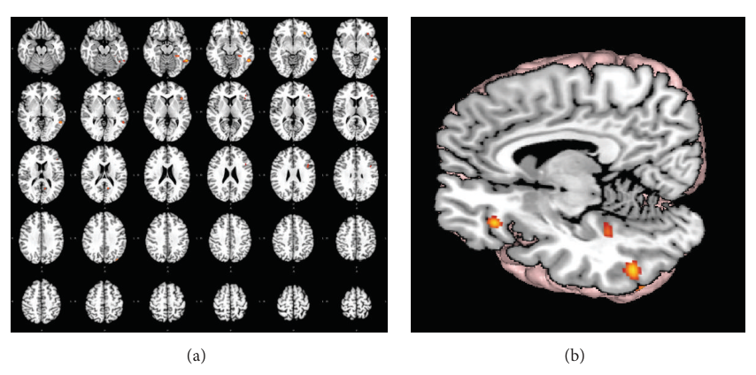 Paper 169 · fig-1