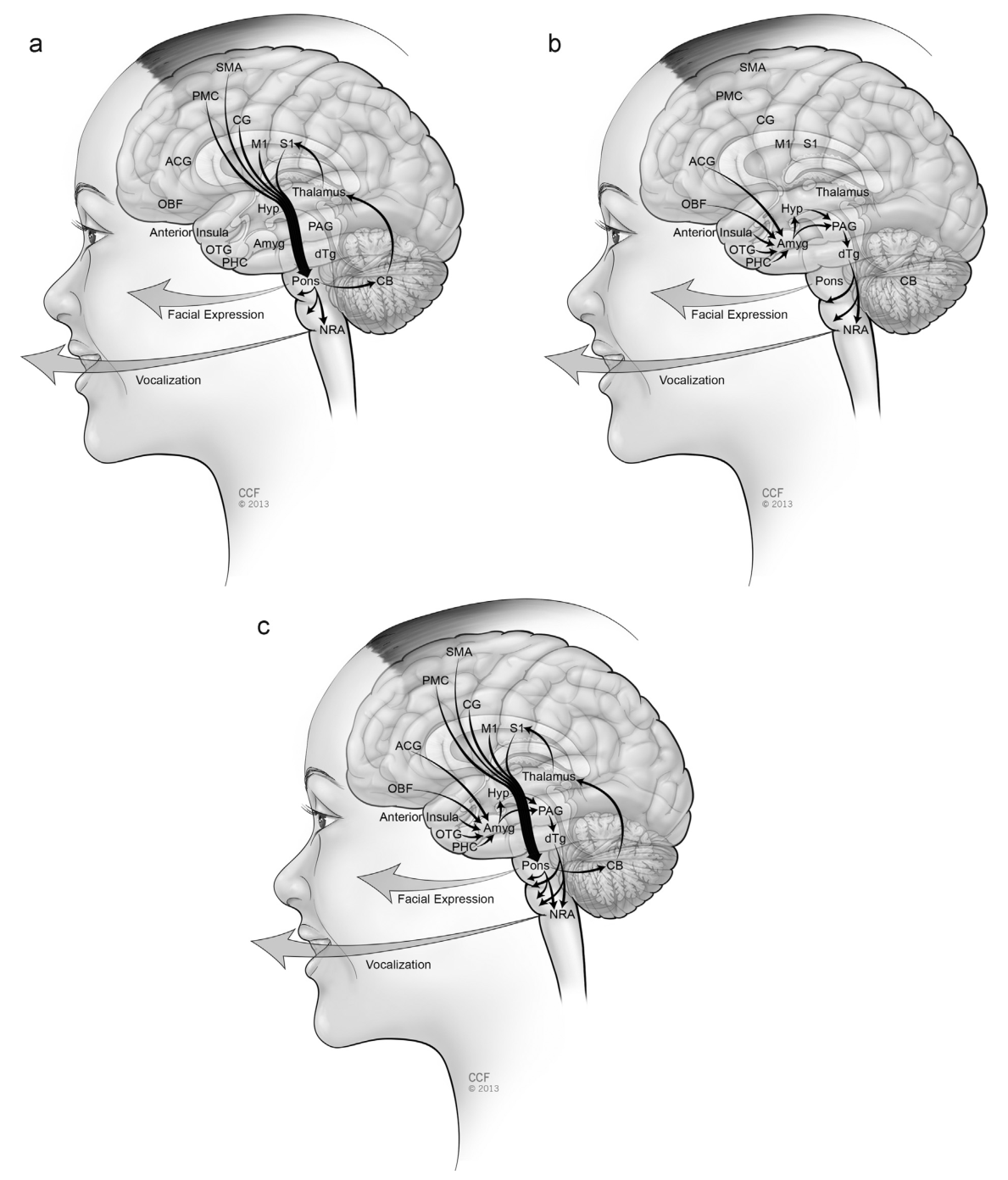 Paper 175 · fig-1