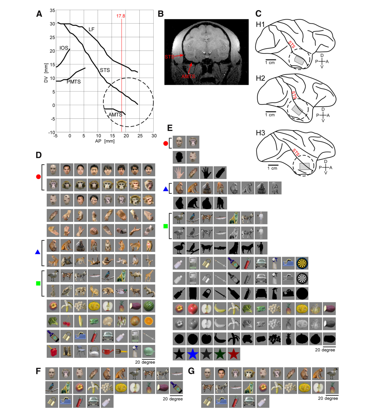 Paper 176 · fig-1