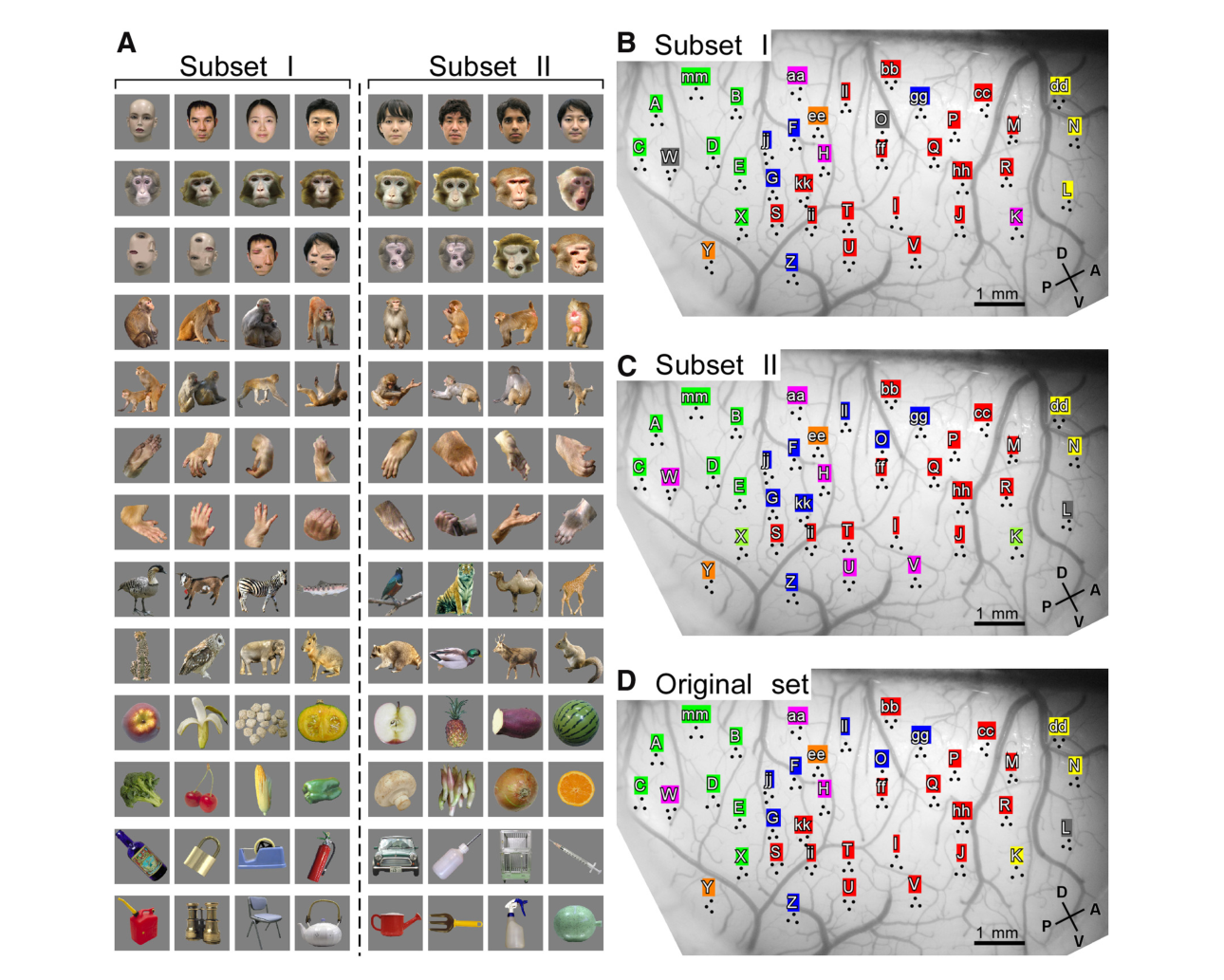 Paper 176 · fig-3