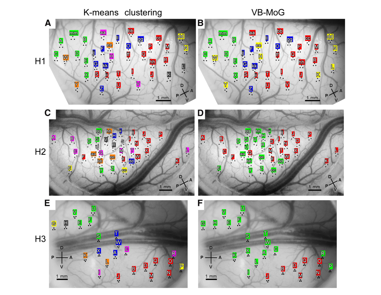 Paper 176 · fig-4