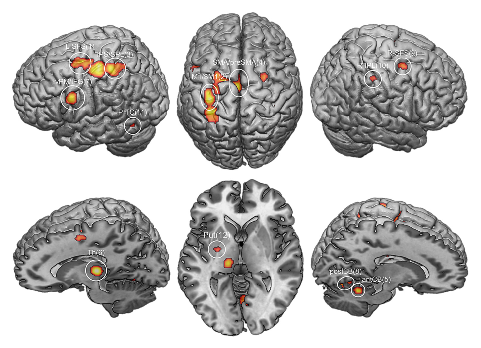 Paper 180 · fig-3